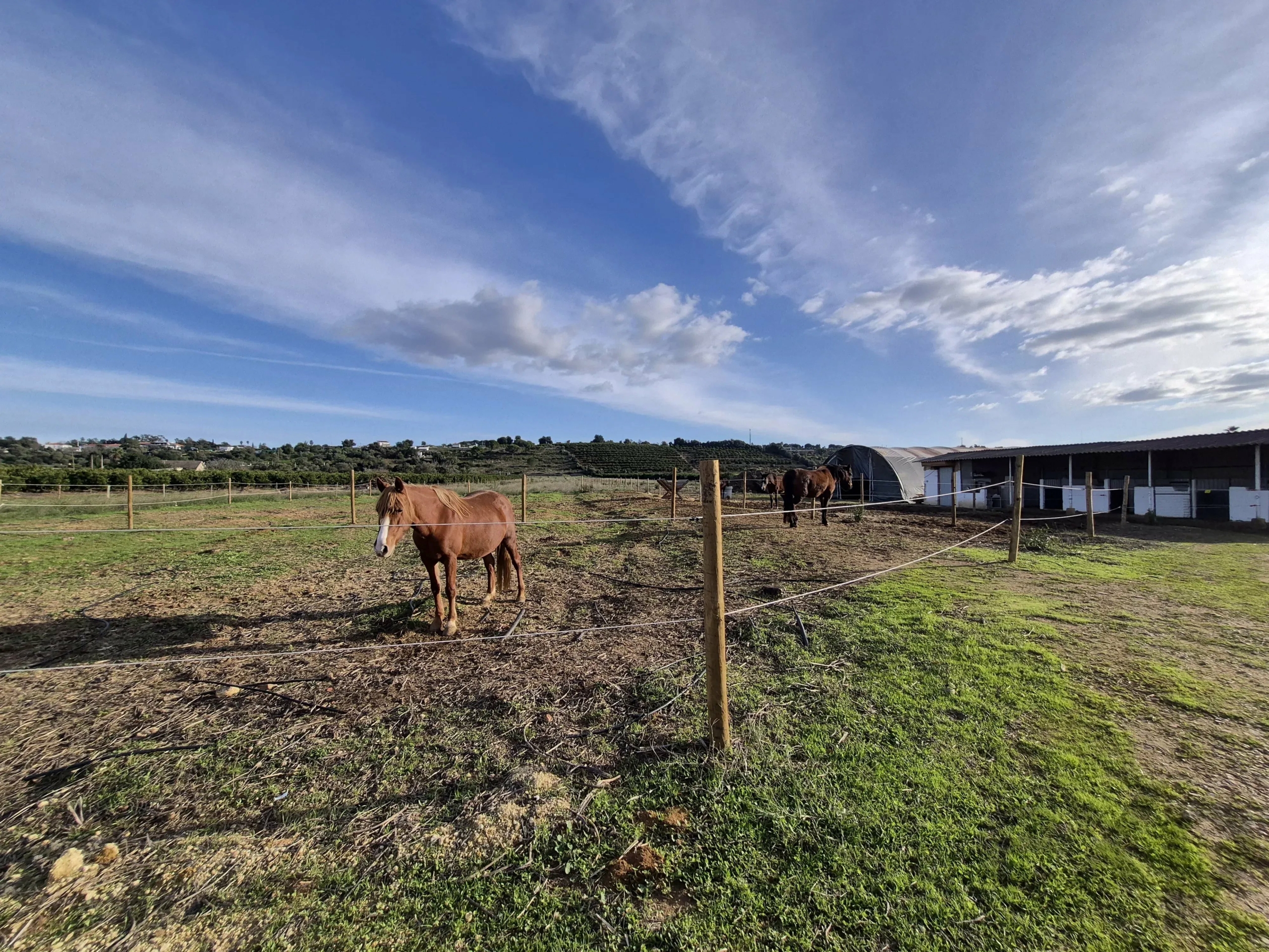 Quinta renovada com localização ideal em plena natureza