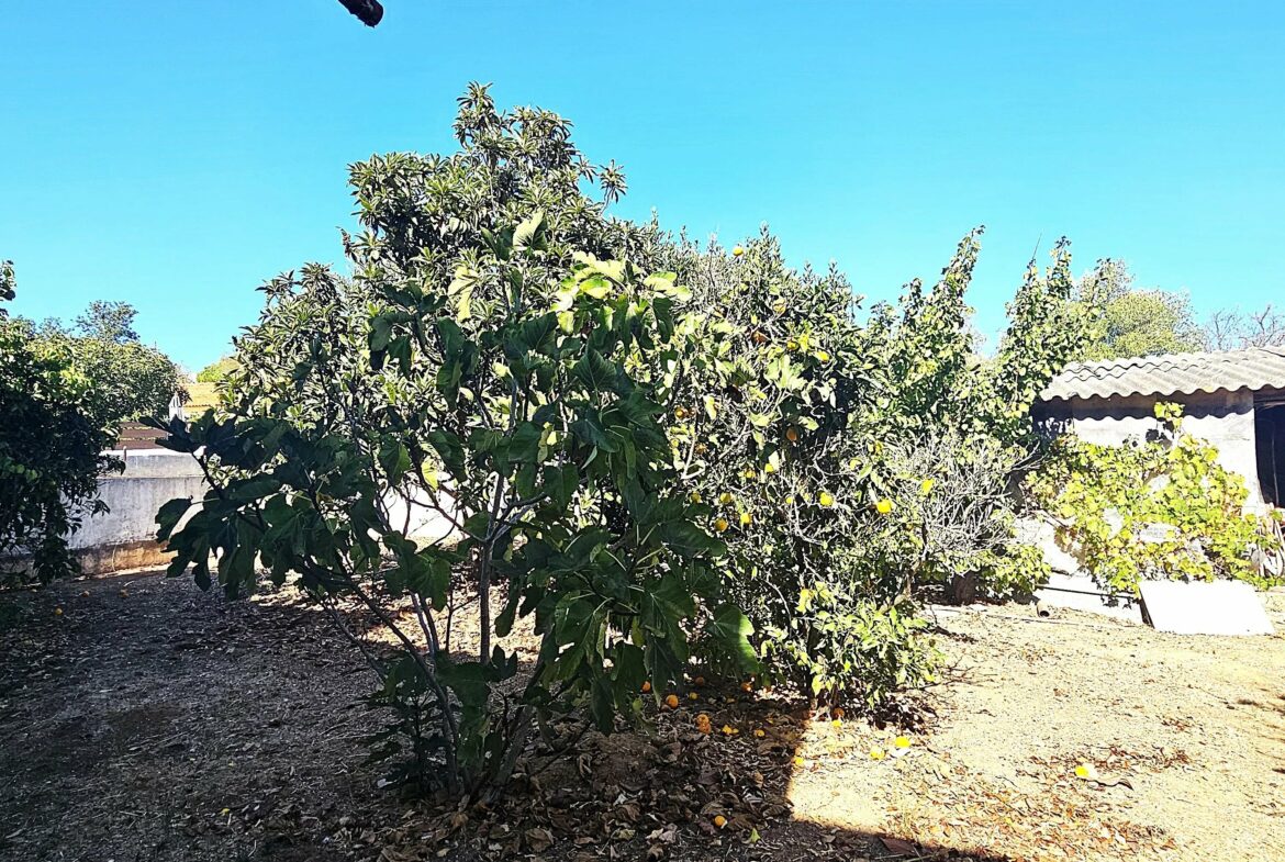 Two-Family House in Ferragudo - Charm, Space and Potential, photo 26