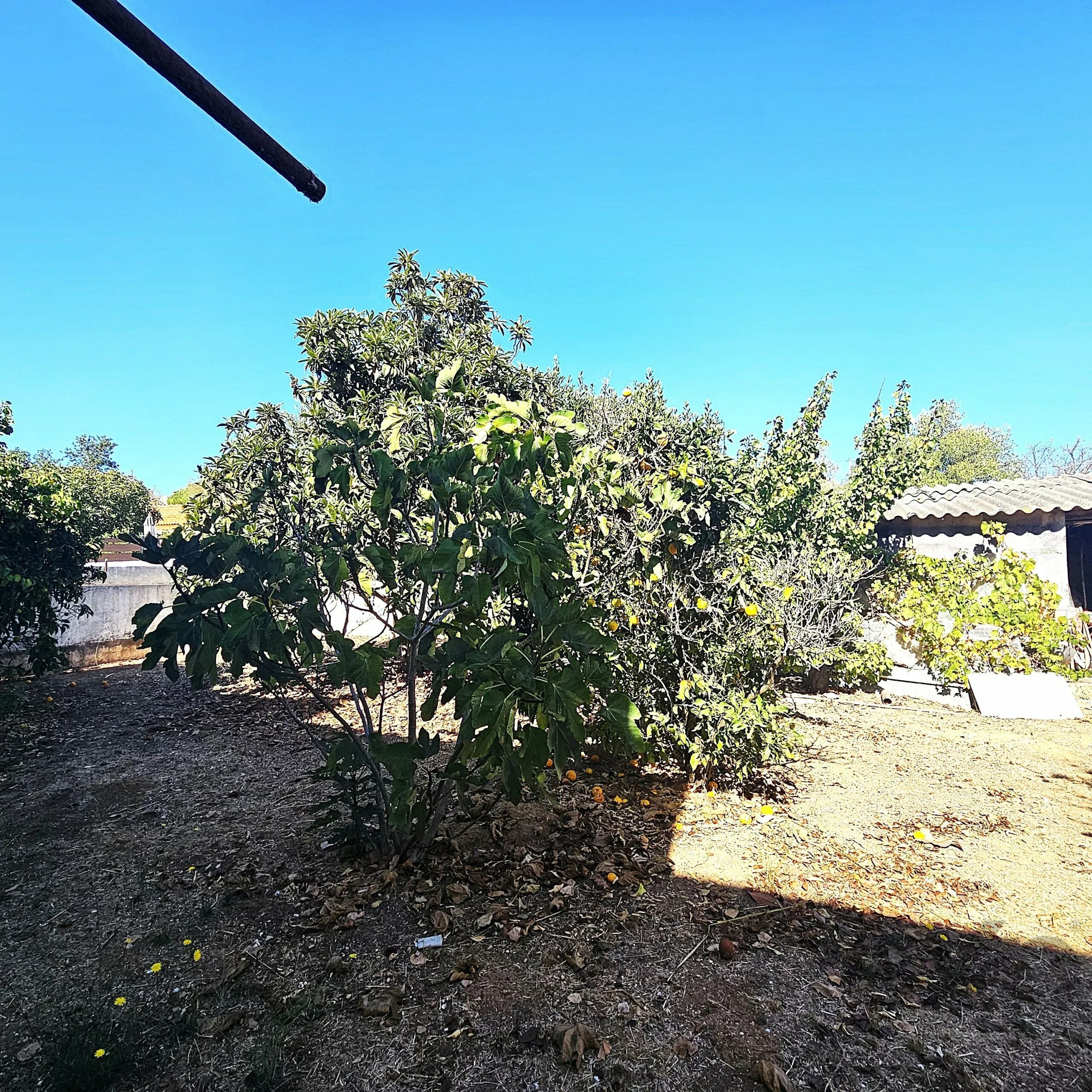 Two-Family House in Ferragudo - Charm, Space and Potential