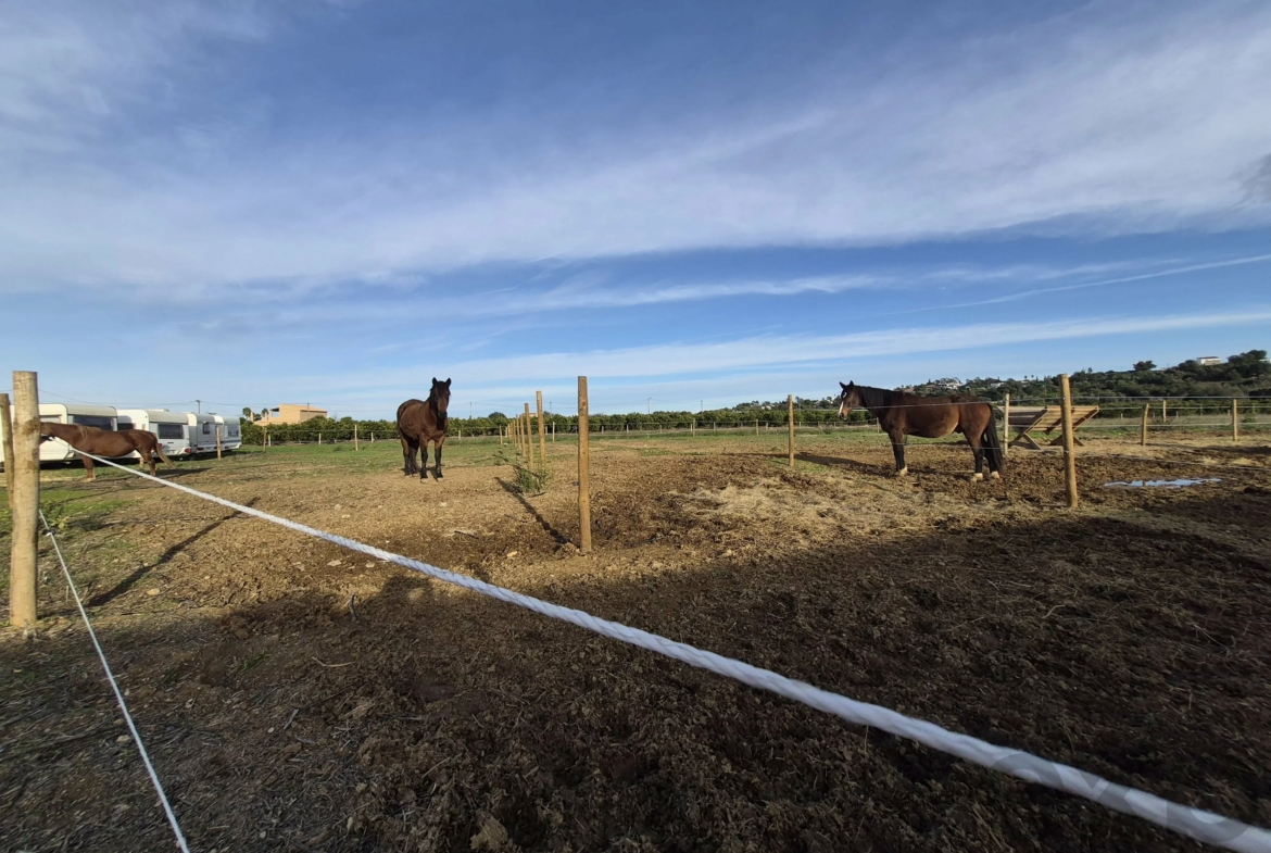 Quinta renovada com localização ideal em plena natureza, foto 45