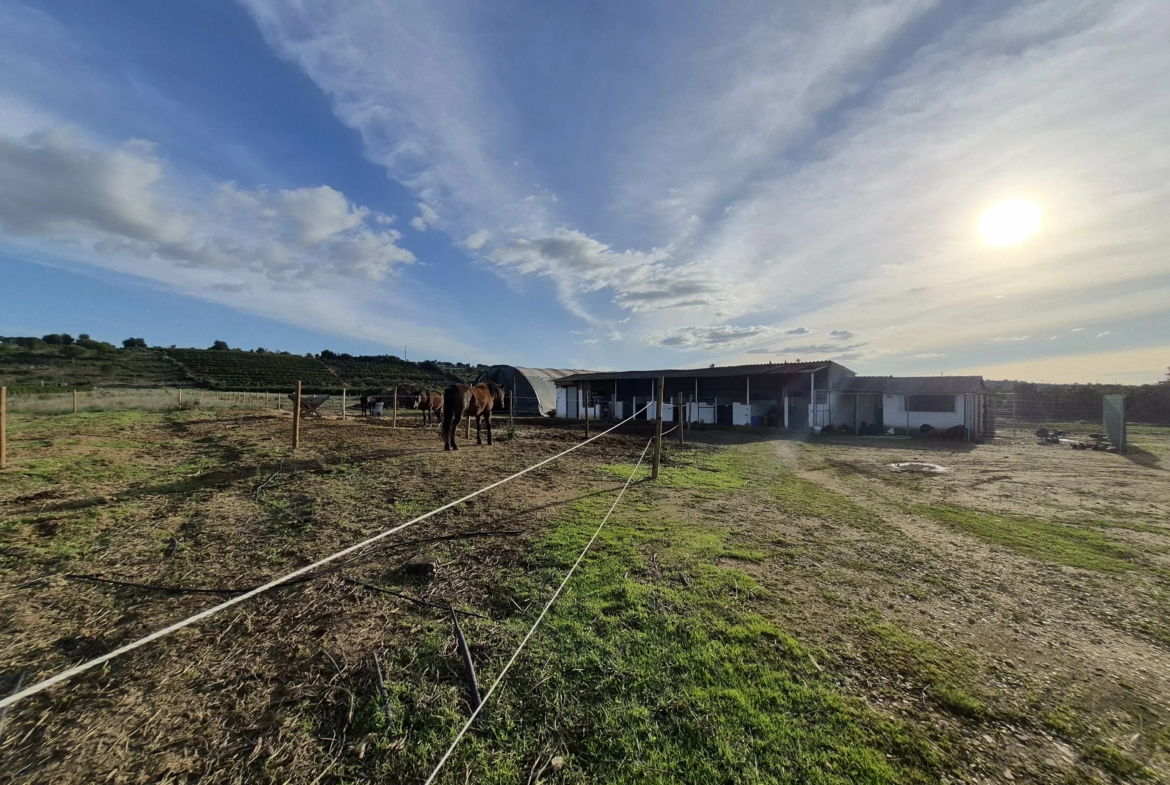 Quinta renovada com localização ideal em plena natureza, foto 41